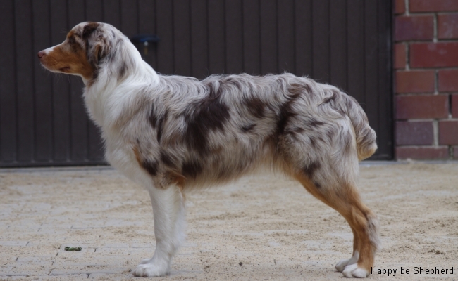 7mo